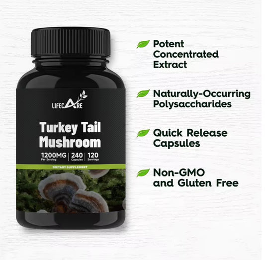 OEM Private Label Turkey Tail Mushroom Extract Vitamin Turkey Tails Capsules
